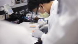 Clinical Laboratory Science, B.S. - Virtual Information Session