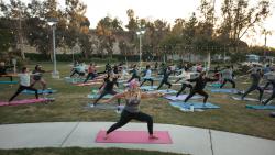 Fitness Frenzy: Pool Side Yoga