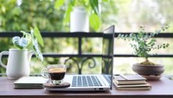 SD Winter (202603) Final Exams (DDS, IDP, & DH)