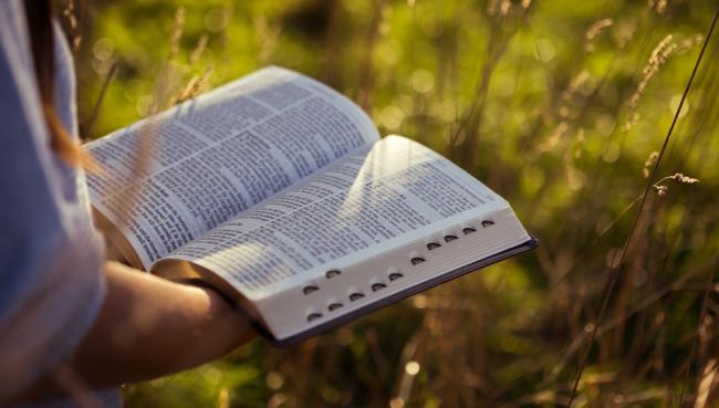 bible reading