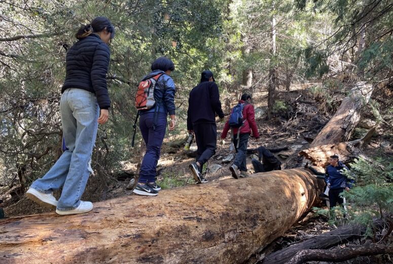 Four teens walking along a log in the woods