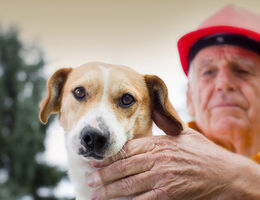 October - Pets and Special Needs