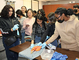 Career Pathways Pipeline Program