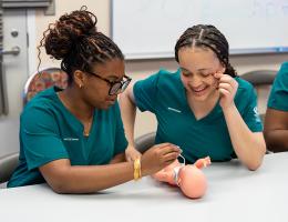 Mentoring in the Health Sciences