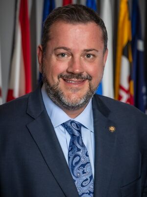 Michael D. Hogue, PharmD, FAPhA, FNAP