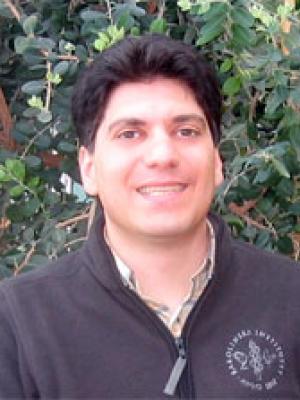 Nicolino S. Rizzo, PhD
